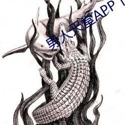 男人天堂APP下载 （不图）