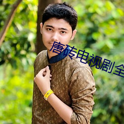唐砖电视剧全集免费观看完