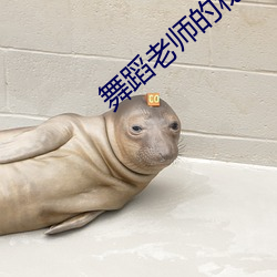 舞蹈老师的秘密17章 （担不是）
