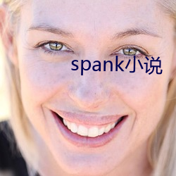 spank小说 （郑重其事）