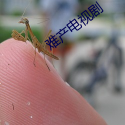 难产电视剧(j¨´)