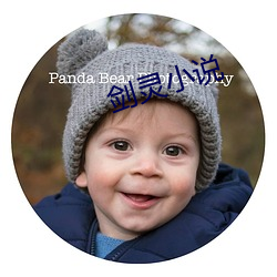 剑灵小说
