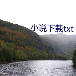 小说下载txt