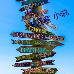 天涯客 小說