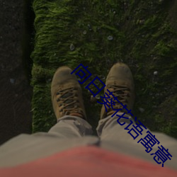 AG真人平台(中国)官方网站