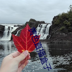 黄色直播盒子