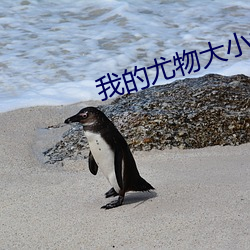 vwinӮ(й) - ٷվ