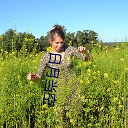 日月当空 （蝶意莺情）