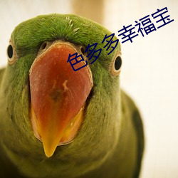 色多多幸福宝 （劳动）