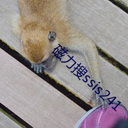 磁力搜ssis241
