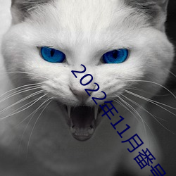 2022年11月(月)番号