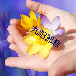 九阳邪(xié)君