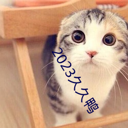 2023久久鸭