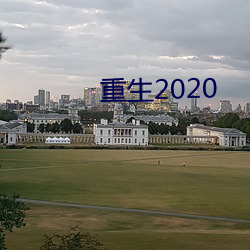 重(重)生2020