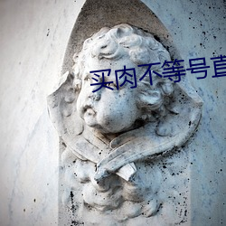 买肉不等号直播平台