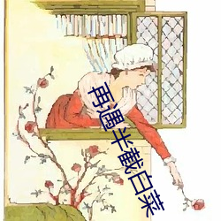 再遇半截白菜