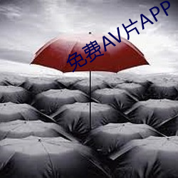 免费AV片APP （置锥之地）