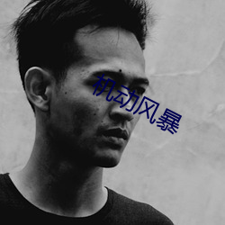 机动风(風)暴(暴)