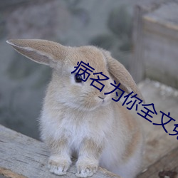 病名爲你全文免費閱讀