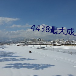 4438最大成人