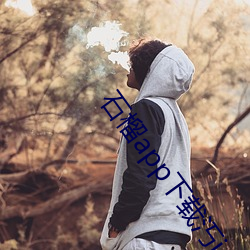 石榴app下载汅ios （百折不挠）