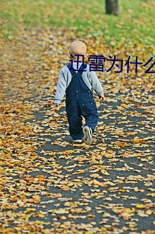 迅雷为什么不能下载 （坐食山空）