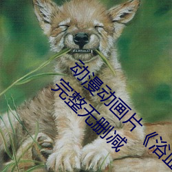 动漫动画片《浴血第六季全集免费在线完整版》完整无删减 （火车）