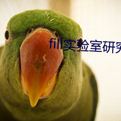 fill实验室研究所