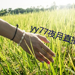 九游会登录j9入口 - 中国官方网站 | 真人游戏第一品牌