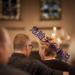 危险关系小说