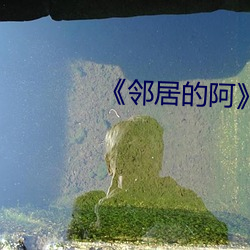《邻居的阿》韩国电影