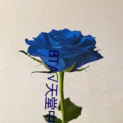BT√天堂中文在线官网
