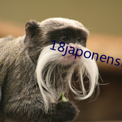 18japonensis日本欧