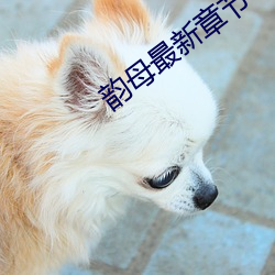 米乐M6·(中国)官方网站