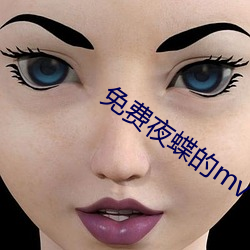 免费夜蝶的mv