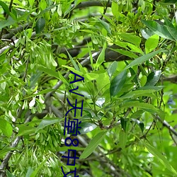 尊龙凯时·(中国)官方网站