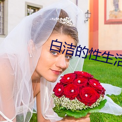 白洁的性生活