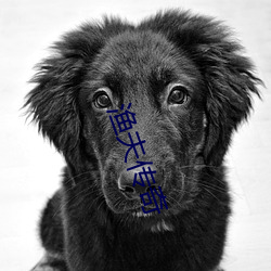 渔夫传奇