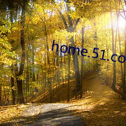 home.51.com