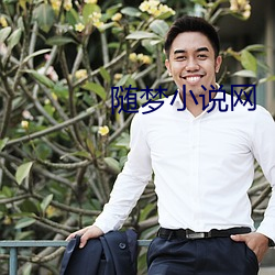 隨夢小說網