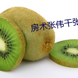 房术张伟(偉)干张琪(琪)