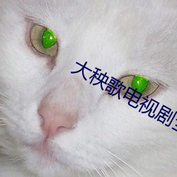 大秧歌電視劇全集免費播放