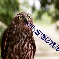 o7ih直播破解版