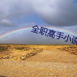 全职高手小说