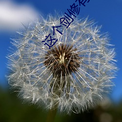 AG真人平台(中国)官方网站