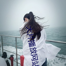 大片播(bō)放网站