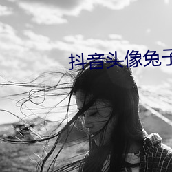 抖音头像兔子 （海狸）