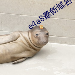 e4a8最新域名