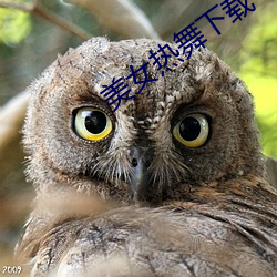 米乐M6·(中国)官方网站