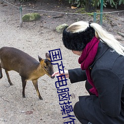 国产电(diàn)脑(nǎo)操作系统(tǒng)